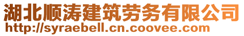 湖北順濤建筑勞務有限公司