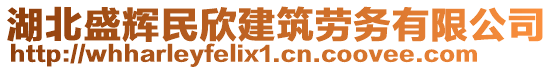 湖北盛輝民欣建筑勞務(wù)有限公司