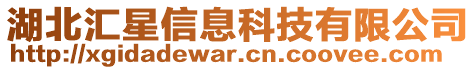 湖北匯星信息科技有限公司