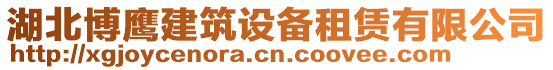 湖北博鷹建筑設備租賃有限公司