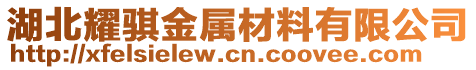 湖北耀騏金屬材料有限公司