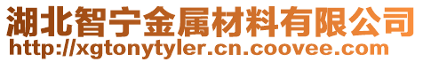 湖北智寧金屬材料有限公司