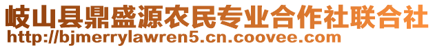 岐山縣鼎盛源農(nóng)民專業(yè)合作社聯(lián)合社