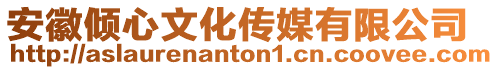 安徽傾心文化傳媒有限公司