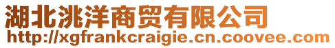 湖北洮洋商貿有限公司