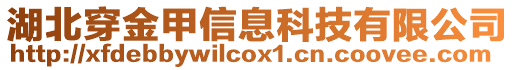 湖北穿金甲信息科技有限公司