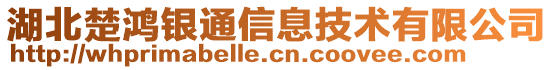 湖北楚鸿银通信息技术有限公司