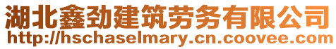 湖北鑫勁建筑勞務(wù)有限公司