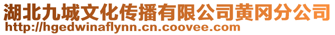 湖北九城文化傳播有限公司黃岡分公司