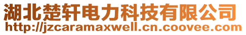 湖北楚軒電力科技有限公司