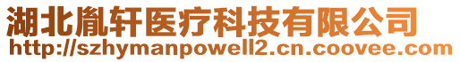 湖北胤軒醫(yī)療科技有限公司