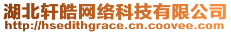 湖北軒皓網(wǎng)絡(luò)科技有限公司