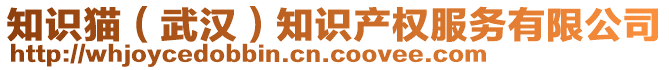 知識貓（武漢）知識產(chǎn)權(quán)服務(wù)有限公司