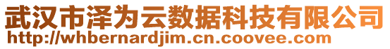 武漢市澤為云數(shù)據(jù)科技有限公司