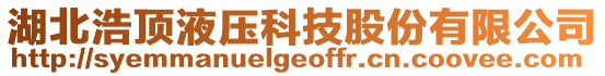 湖北浩頂液壓科技股份有限公司