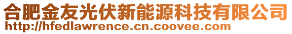 合肥金友光伏新能源科技有限公司