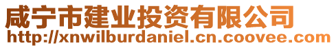 咸寧市建業(yè)投資有限公司