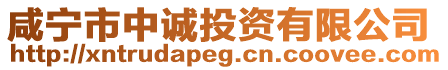 咸寧市中誠投資有限公司