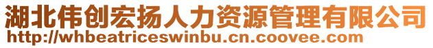 湖北偉創宏揚人力資源管理有限公司
