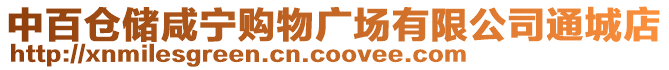 中百倉(cāng)儲(chǔ)咸寧購(gòu)物廣場(chǎng)有限公司通城店