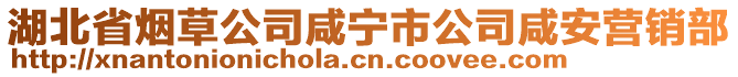 湖北省烟草公司咸宁市公司咸安营销部