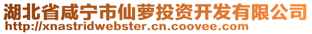 湖北省咸寧市仙蘿投資開發(fā)有限公司