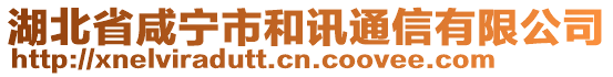 湖北省咸寧市和訊通信有限公司