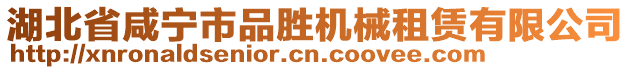湖北省咸寧市品勝機械租賃有限公司