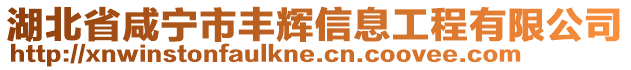 湖北省咸寧市豐輝信息工程有限公司