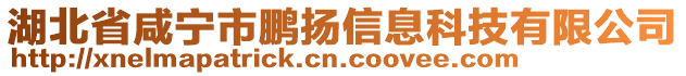 湖北省咸寧市鵬揚信息科技有限公司