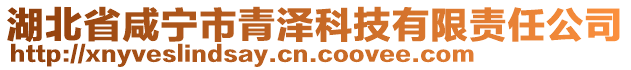 湖北省咸寧市青澤科技有限責(zé)任公司