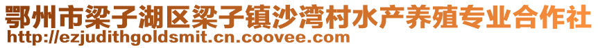 鄂州市梁子湖区梁子镇沙湾村水产养殖专业合作社