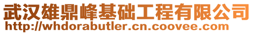 武漢雄鼎峰基礎(chǔ)工程有限公司