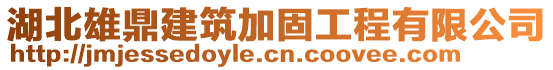 湖北雄鼎建筑加固工程有限公司