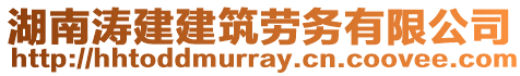 湖南濤建建筑勞務有限公司