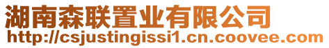 湖南森聯置業有限公司