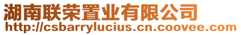 湖南聯(lián)榮置業(yè)有限公司