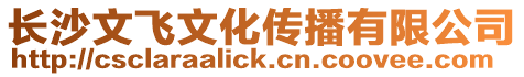 長沙文飛文化傳播有限公司