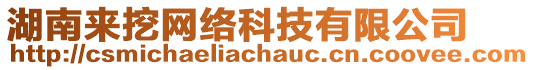 湖南來(lái)挖網(wǎng)絡(luò)科技有限公司