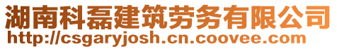 湖南科磊建筑劳务有限公司