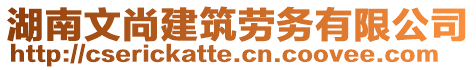 湖南文尚建筑劳务有限公司