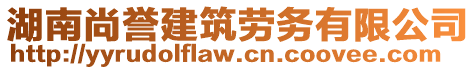 湖南尚譽建筑勞務有限公司