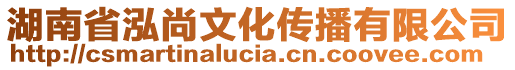 湖南省泓尚文化傳播有限公司