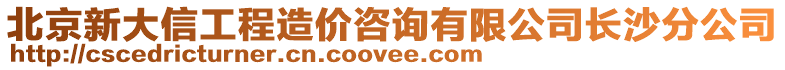 北京新大信工程造價(jià)咨詢有限公司長(zhǎng)沙分公司