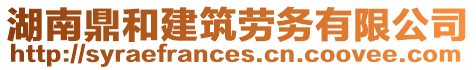 湖南鼎和建筑勞務有限公司