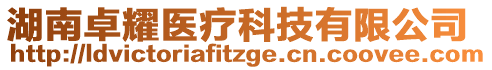 湖南卓耀醫(yī)療科技有限公司