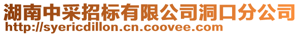 湖南中采招標(biāo)有限公司洞口分公司