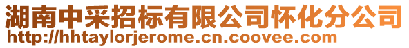 湖南中采招標有限公司懷化分公司