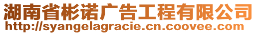 湖南省彬諾廣告工程有限公司