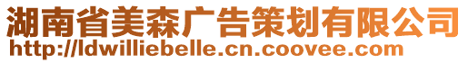 湖南省美森廣告策劃有限公司